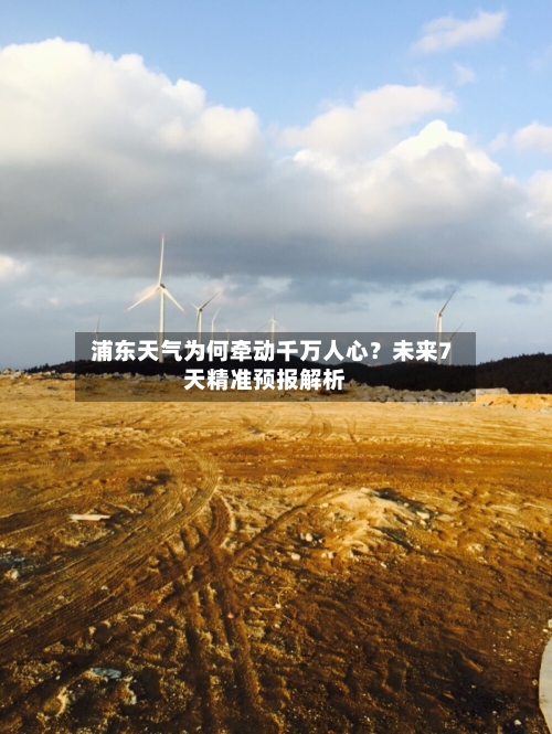  浦东天气为何牵动千万人心？未来7天精准预报解析