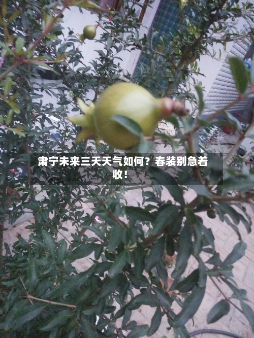  肃宁未来三天天气如何？春装别急着收！  