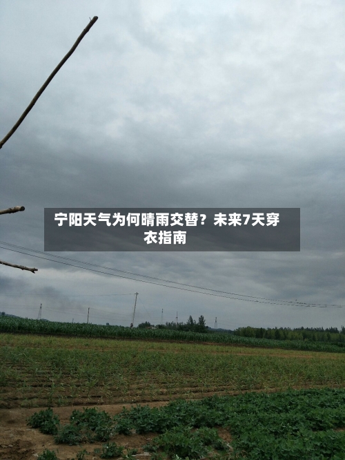  宁阳天气为何晴雨交替？未来7天穿衣指南