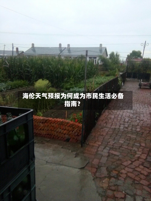  海伦天气预报为何成为市民生活必备指南？