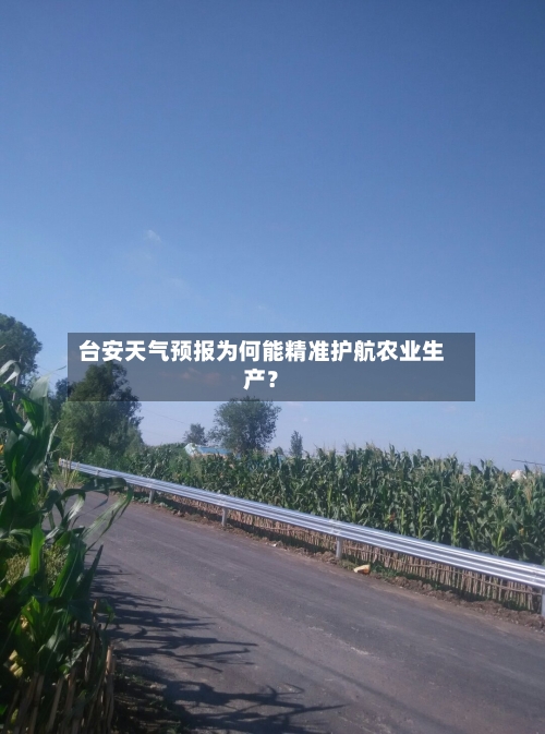 台安天气预报为何能精准护航农业生产？