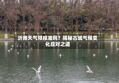  沂南天气预报准吗？揭秘古城气候变化应对之道  