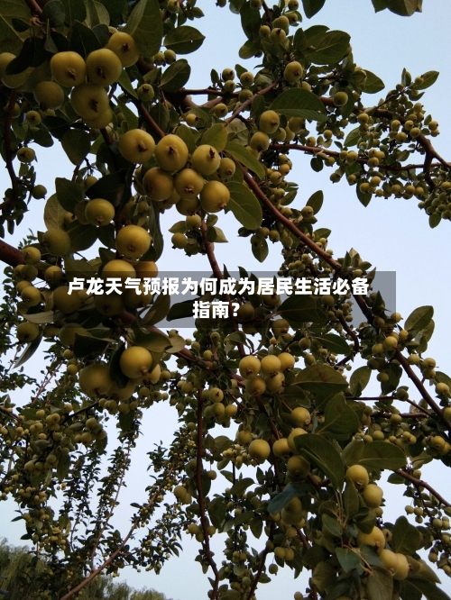  卢龙天气预报为何成为居民生活必备指南？