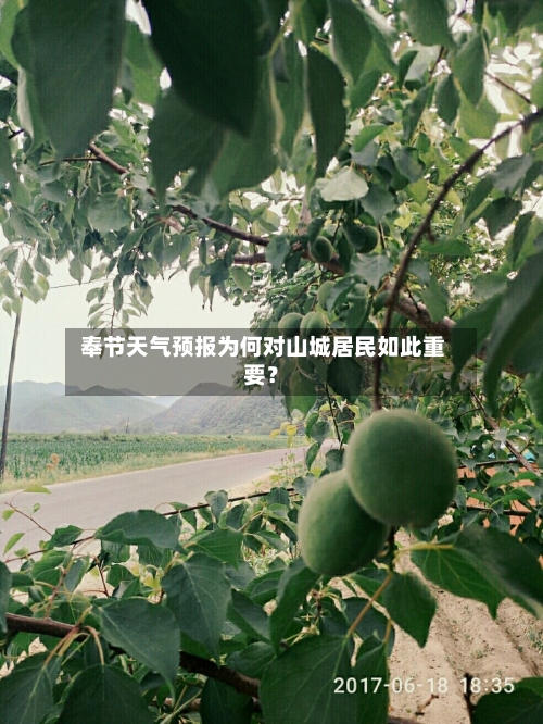  奉节天气预报为何对山城居民如此重要？