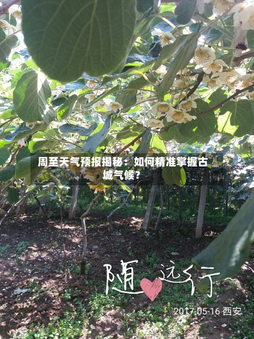  周至天气预报揭秘：如何精准掌握古城气候？