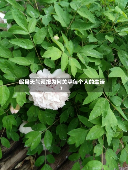  岷县天气预报为何关乎每个人的生活？  