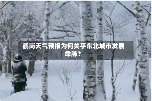  鹤岗天气预报为何关乎东北城市发展命脉？