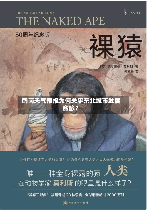  鹤岗天气预报为何关乎东北城市发展命脉？