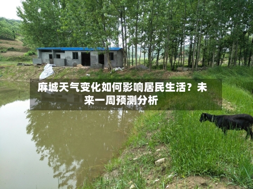  麻城天气变化如何影响居民生活？未来一周预测分析