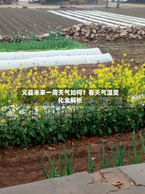  义县未来一周天气如何？春天气温变化全解析  