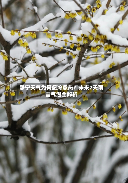 静宁天气为何忽冷忽热?未来7天雨雪气温全解析