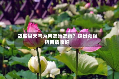  故城县天气为何忽晴忽雨？这份预报指南请收好