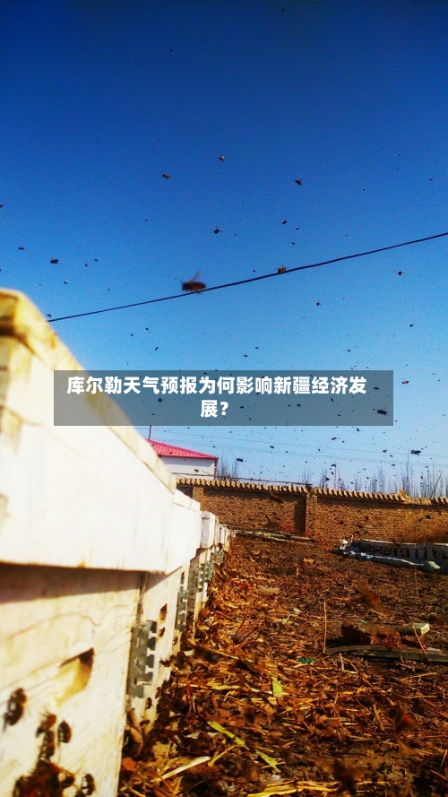  库尔勒天气预报为何影响新疆经济发展？