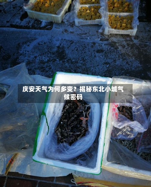  庆安天气为何多变？揭秘东北小城气候密码  
