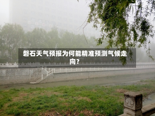  磐石天气预报为何能精准预测气候走向？