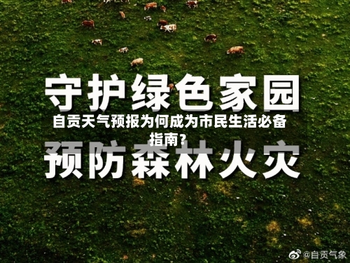  自贡天气预报为何成为市民生活必备指南？