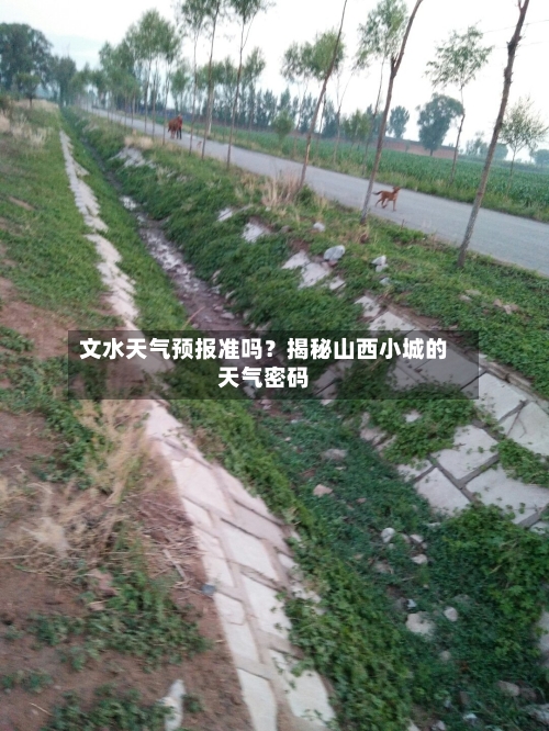 文水天气预报准吗？揭秘山西小城的天气密码