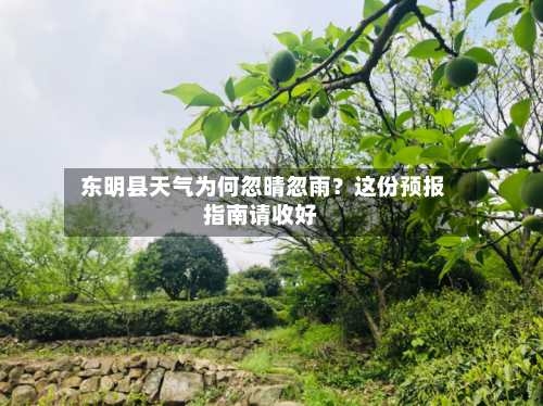  东明县天气为何忽晴忽雨？这份预报指南请收好
