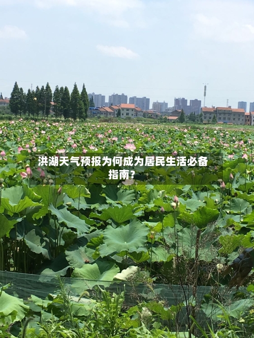  洪湖天气预报为何成为居民生活必备指南？
