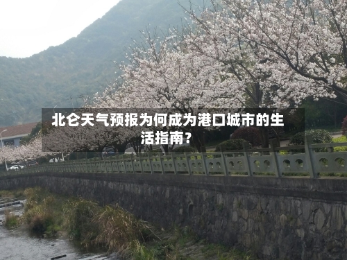  北仑天气预报为何成为港口城市的生活指南？