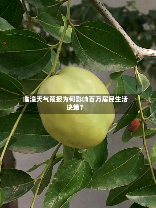  临漳天气预报为何影响百万居民生活决策？
