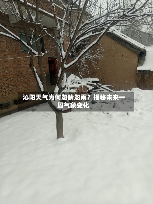  沁阳天气为何忽晴忽雨？揭秘未来一周气象变化