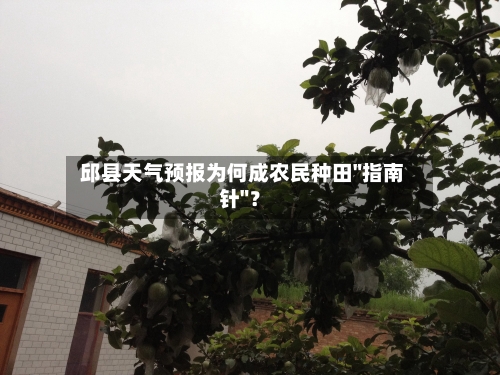  邱县天气预报为何成农民种田"指南针"？