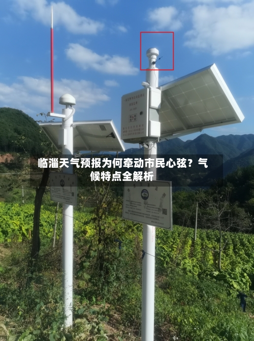  临淄天气预报为何牵动市民心弦？气候特点全解析