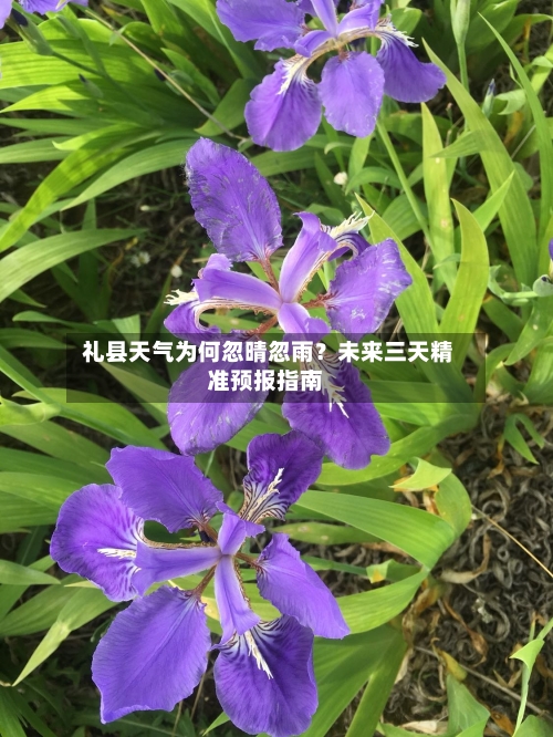  礼县天气为何忽晴忽雨？未来三天精准预报指南