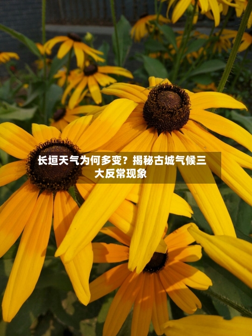  长垣天气为何多变？揭秘古城气候三大反常现象