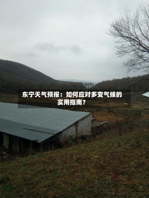  东宁天气预报：如何应对多变气候的实用指南？