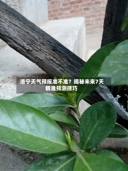  洛宁天气预报准不准？揭秘未来7天精准预测技巧