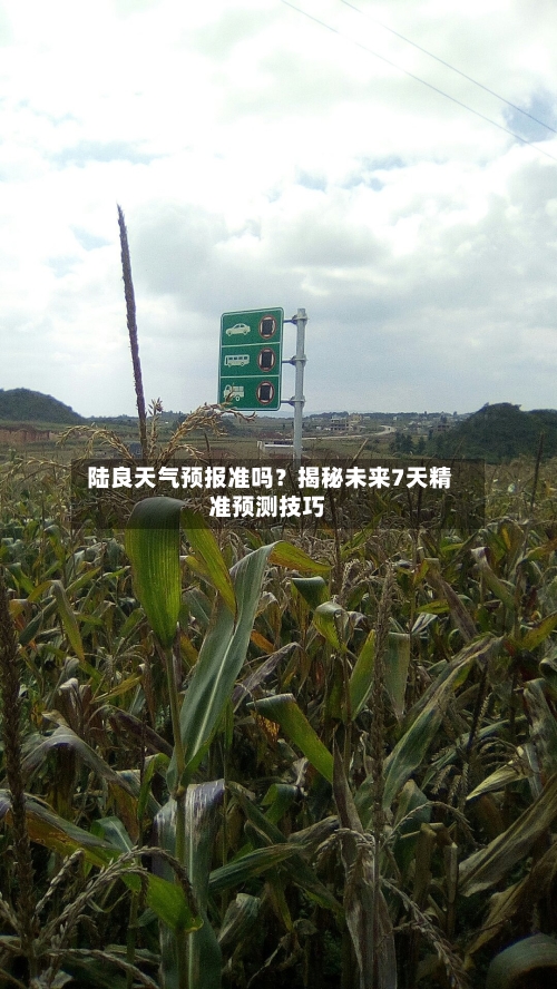  陆良天气预报准吗？揭秘未来7天精准预测技巧