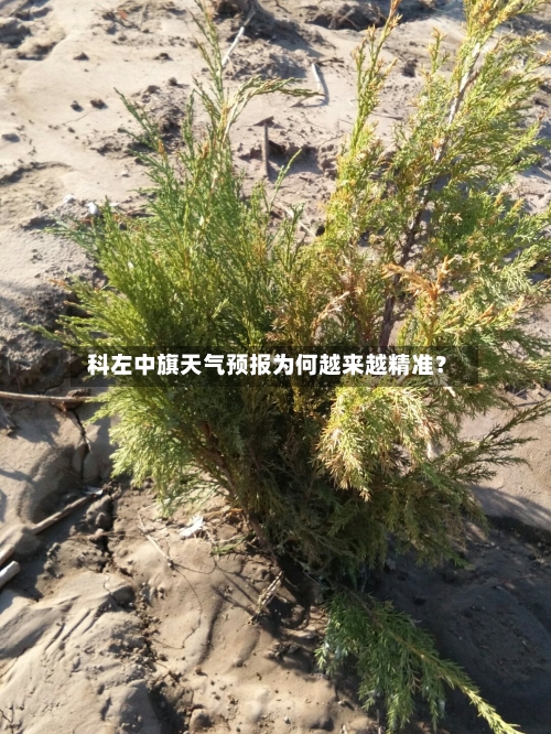  科左中旗天气预报为何越来越精准？