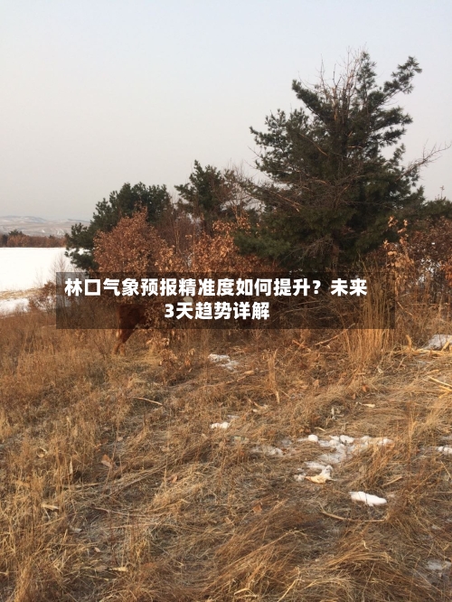 林口气象预报精准度如何提升？未来3天趋势详解