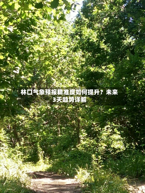 林口气象预报精准度如何提升？未来3天趋势详解
