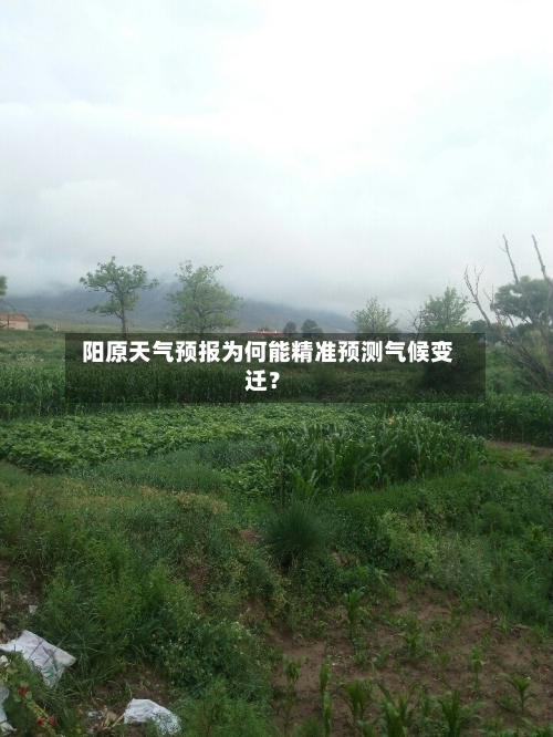  阳原天气预报为何能精准预测气候变迁？  