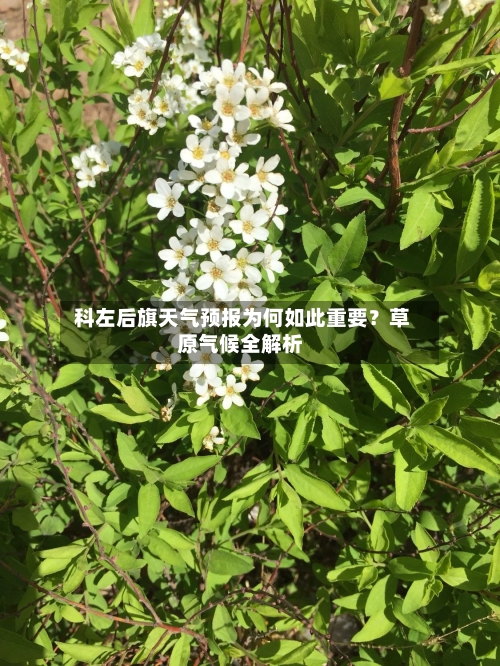  科左后旗天气预报为何如此重要？草原气候全解析