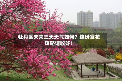  牡丹区未来三天天气如何？这份赏花攻略请收好！
