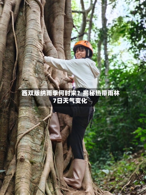  西双版纳雨季何时来？揭秘热带雨林7日天气变化
