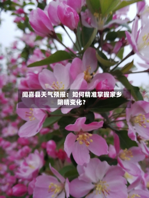  闻喜县天气预报：如何精准掌握家乡阴晴变化？