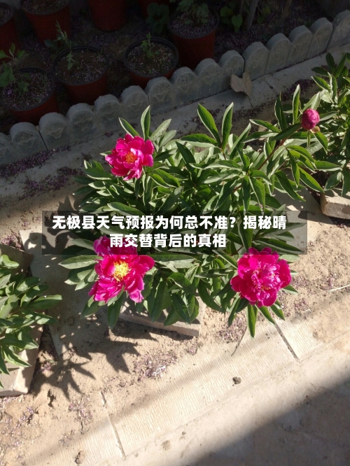  无极县天气预报为何总不准？揭秘晴雨交替背后的真相