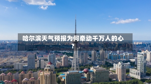  哈尔滨天气预报为何牵动千万人的心？