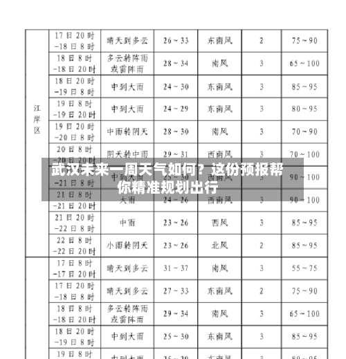  武汉未来一周天气如何？这份预报帮你精准规划出行  
