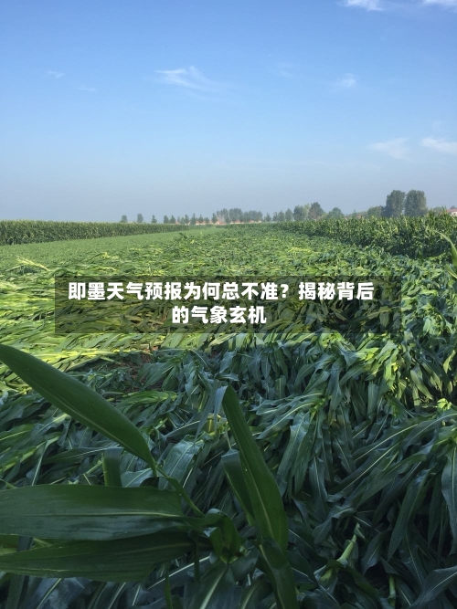  即墨天气预报为何总不准？揭秘背后的气象玄机