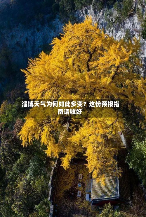  淄博天气为何如此多变？这份预报指南请收好