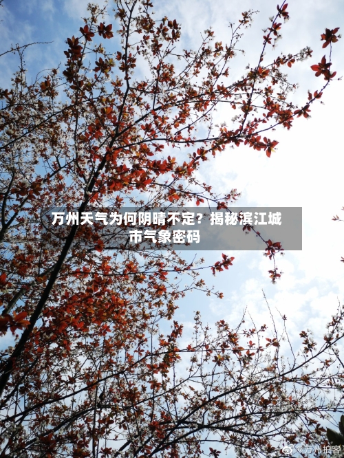  万州天气为何阴晴不定？揭秘滨江城市气象密码