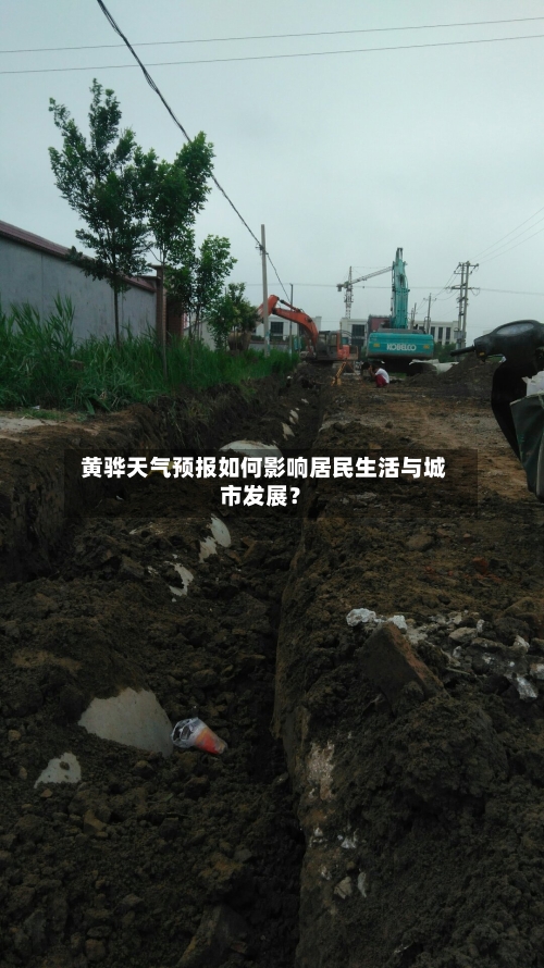  黄骅天气预报如何影响居民生活与城市发展？