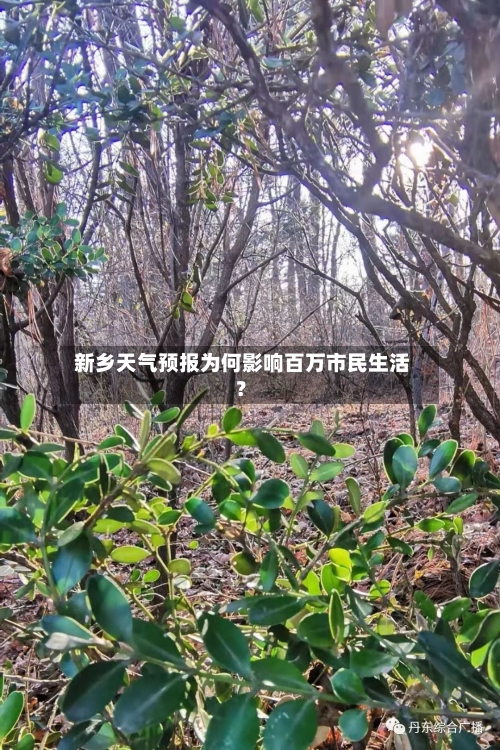  新乡天气预报为何影响百万市民生活？