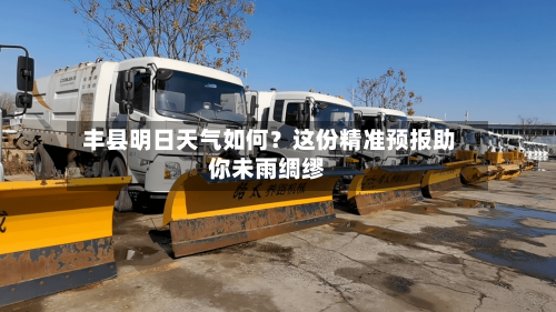  丰县明日天气如何？这份精准预报助你未雨绸缪